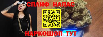 сатива Апшеронск