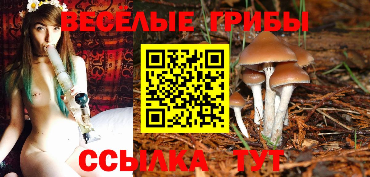 Псилоцибиновые грибы GOLDEN TEACHER Владикавказ