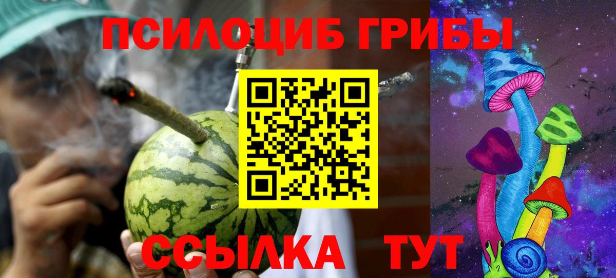 Галлюциногенные грибы прущие грибы  Вход с VPN  Псилоцибиновые грибы Psilocybine cubensis  Владикавказ 
